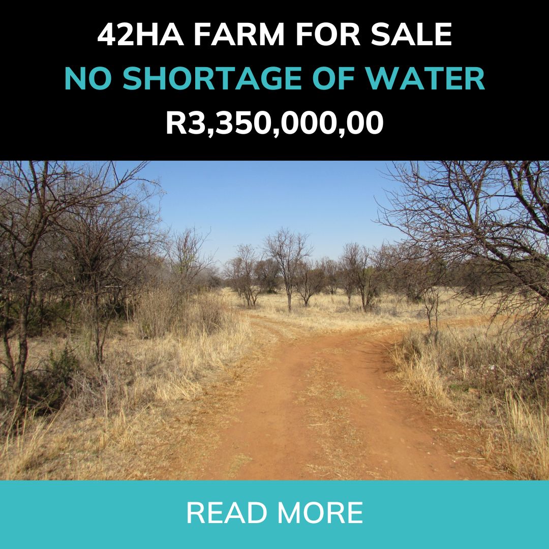 6 - Real Estate Auctioneers Gauteng - BRITE-X Auctioneers